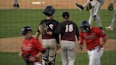 ValleyCats swept by Wild Things in home-opening series