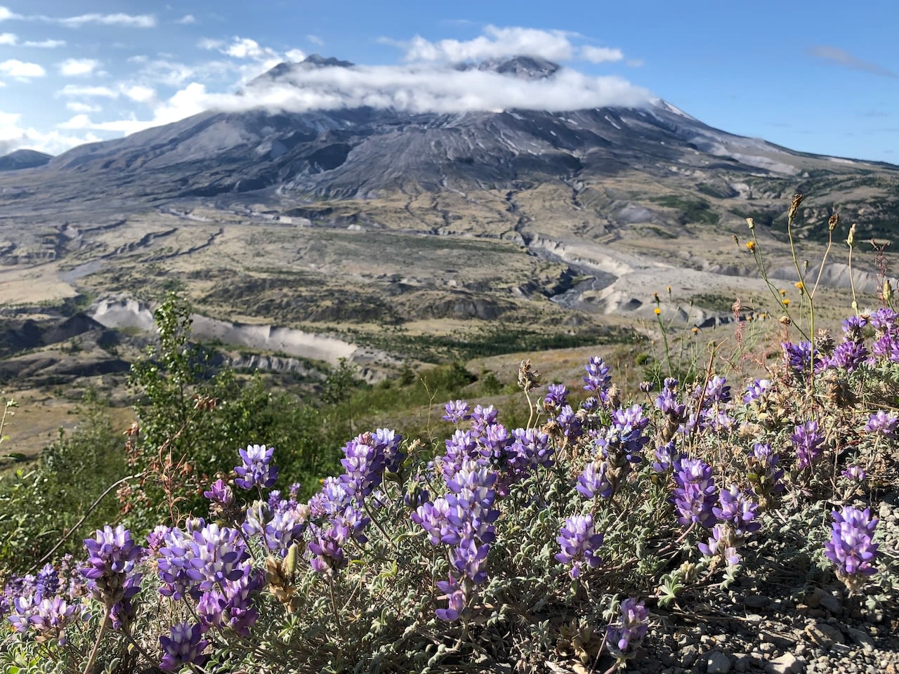 Mount St. Helens visitor center, trailhead to stay closed until 2027