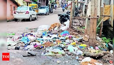 Civic Workers' Protest Disrupts Sanitation Work in Twin Cities | Hubballi News - Times of India