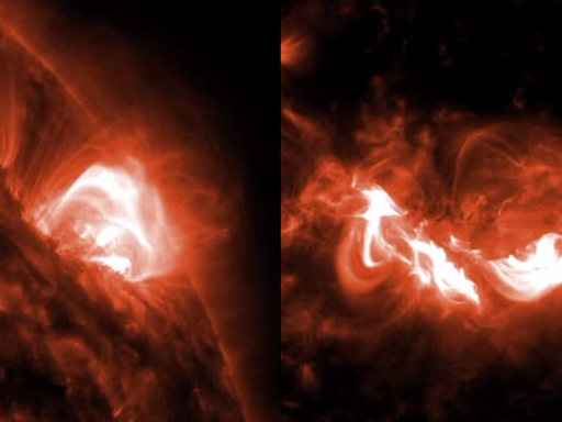 NASA Shares Incredible Views Of Sun's 'Dancing Loops' Amid Solar Flare Galore