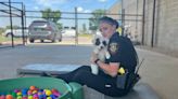 Paw Patrol! How this Tarrant sheriff’s deputy saved eight puppies on a triple-digit day