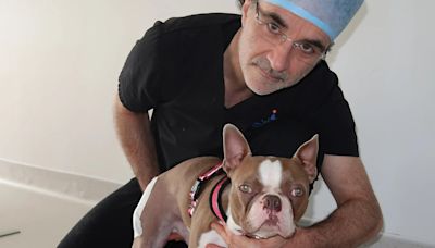 'We're going to miss you' sob The Supervet fans after sad announcement
