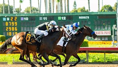 Los Alamitos Opens June 22 for Thoroughbred Meet