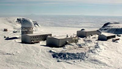 Polar Bears Kill Worker at Arctic Radar Station