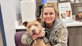 Shelter Dog Reunites with Familiar Face After Friend Sensed They 'Needed to Look' For the Pet