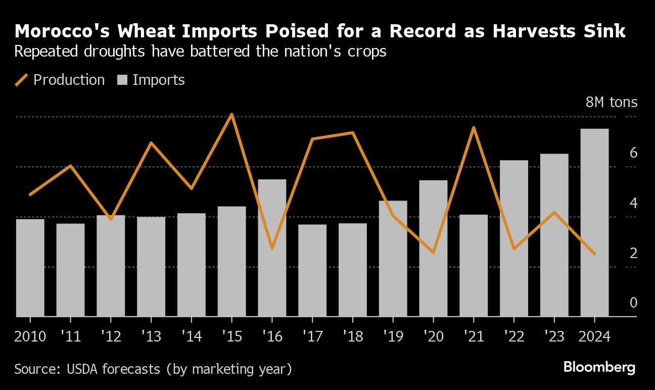 Drought Gripping Morocco Is Bad Omen for Global Food Supplies