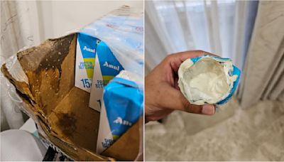 ‘Stop Buying Products From Amul’: Customer Finds Worms Inside High Protein Buttermilk Ordered Online, Shares Post & VIDEO