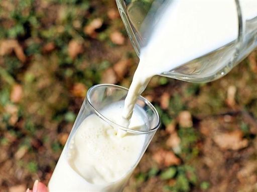 補鈣不一定要喝牛奶！醫激推4食物：還能增肌、顧關節