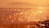 Stunning moment hundreds of swans feed at lake during radiant Chinese sunrise