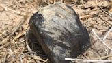 Scientists find meteorite in Texas from fireball that exploded with the force of 8 tons of TNT