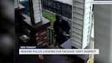 Newark police seek public’s help identifying package thief