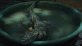 The Emotional Support Alligator That Allegedly Inspired 'Alligator Loki' Has Gone Missing - IGN
