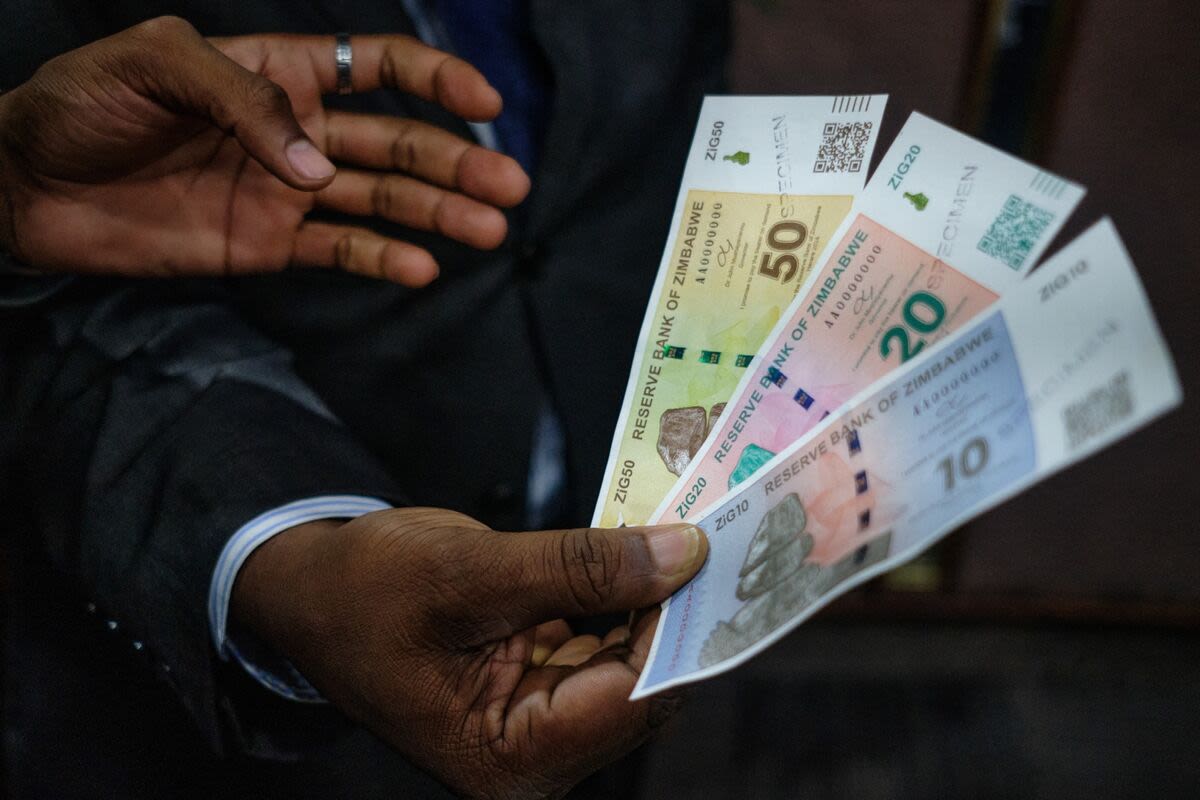 Zimbabwe Plans Rules to Enforce Sole Use of ZiG Exchange Rate