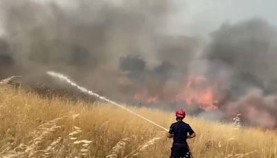 Albanien bittet EU um Hilfe bei Bekämpfung von Waldbränden im Süden des Landes