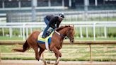 They had the Kentucky Derby favorite last year. Now they’re back with a long shot.