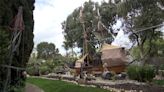 Morgan Hill man transforms property into pirate-themed spectacle, welcomes in community to enjoy