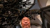 Artist Ai Weiwei warns against hubris in 'troublesome' times