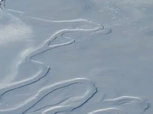 Video | La ola polar en Santa Cruz congeló hasta un río: el impacto del frío en el sur de la Patagonia - Diario Río Negro