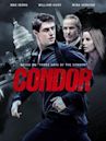 FREE EPIX: CONDOR