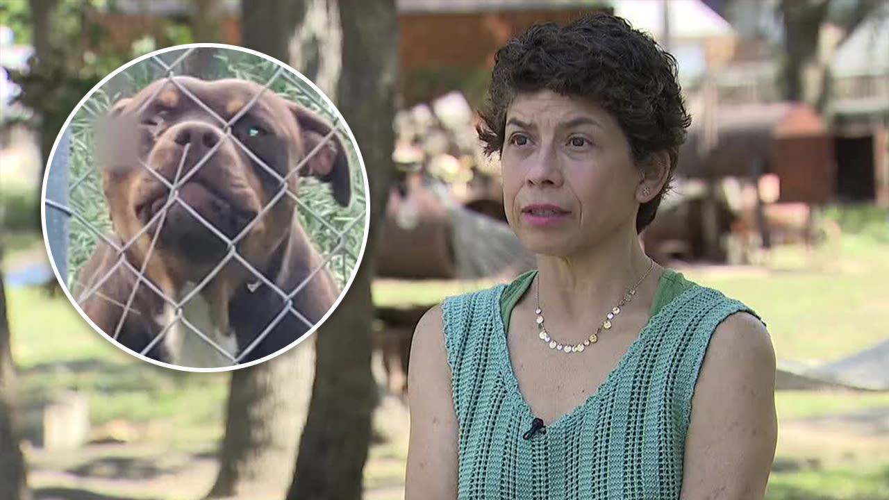 Lockhart family shoots neighbor's pit bulls after attack on livestock