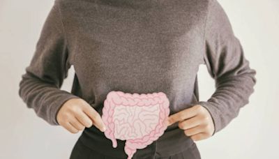 La Microbiota: el segundo cerebro del cuerpo. Te decimos qué alimentos y bebidas naturales que te ayudarán a cuidarla