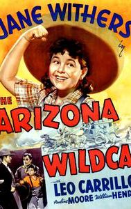 Arizona Wildcat