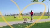 Watch This Dog Dad Sweetly Throw a Separate Ball So His Older Pup Can Still Fetch