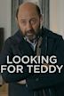 Looking for Teddy