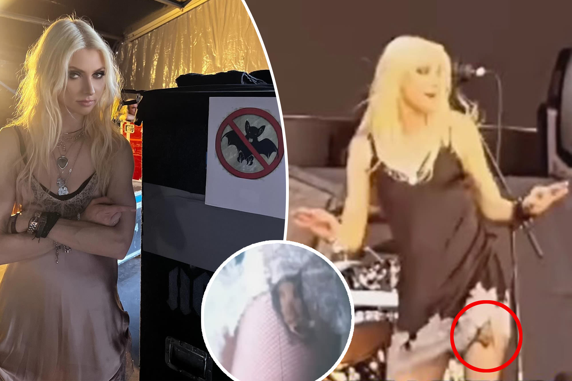 ‘Gossip Girl’ star Taylor Momsen gets bitten by a bat during concert, needs rabies shots