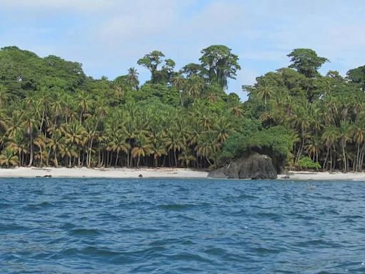 Los parques naturales de Colombia: destinos ideales para las vacaciones