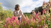 Flower power in Paris Township: Britt's Blooms is a pick-your-own bouquet farm