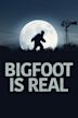 Bigfoot Is Real