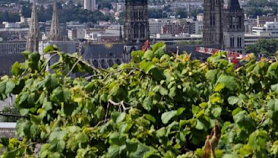 Brand im Turm der Kathedrale von Rouen