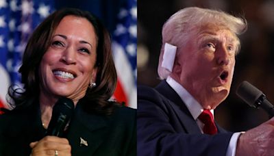 Trump takes a big lead over Harris in betting odds for November, but one Dem is a surprise with her chances