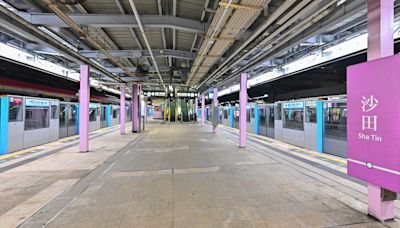 東鐵綫沙田及上水站已裝月台閘門 目標年內9個站完成安裝工程
