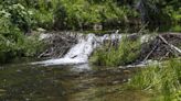 9 beavers die from disease in Utah — and it can spread to people, officials say