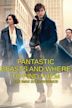 Fantastic Beasts and Where to Find Them (film)