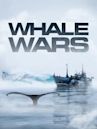 Whale Wars