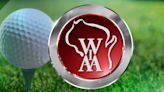 Waunakee, Mineral Point capture WIAA State Boys Golf titles