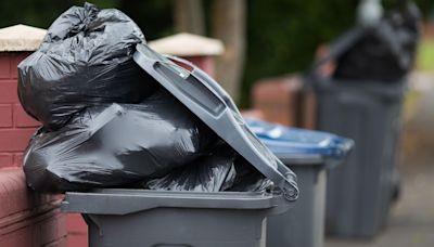 Call to scrap bin collection plan amid rat worries