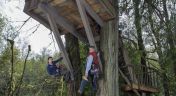 6. Towering Treetop Teahouse