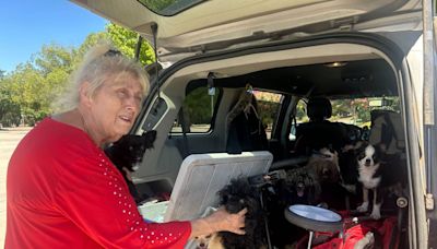 Woman evacuates home threatened by Park Fire with her 12 dogs. ‘Who cares about the rest?’