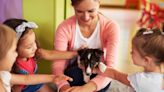 Shelter Puppy Finds Forever Home After Bringing Joy to Classroom