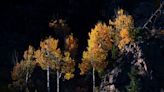 Where can you see the best fall colors in Colorado? Here's a list