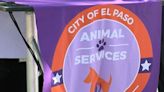 El Paso Animal Services is promoting National Chip Your Pet Month - KVIA