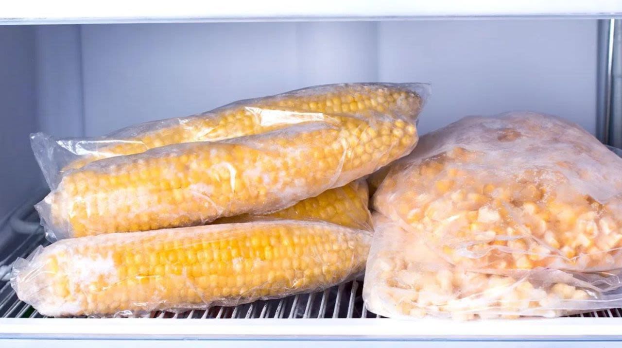 How to freeze summer corn on the cob to enjoy it all year