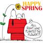 snoopy Spring