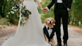 Couples Want Their Dog at Their Wedding More Than Some Humans