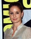 Sarah Wayne Callies