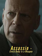 Assassin (película)